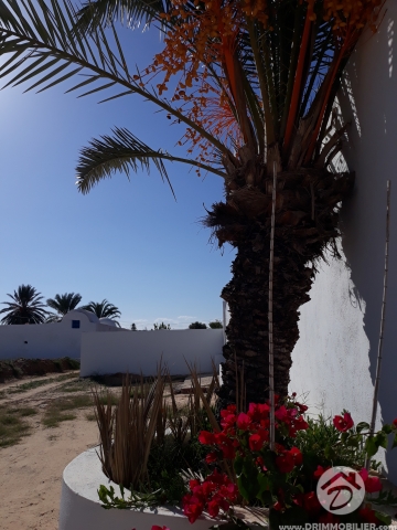 L 237 -                            Sale
                           Villa avec piscine Djerba